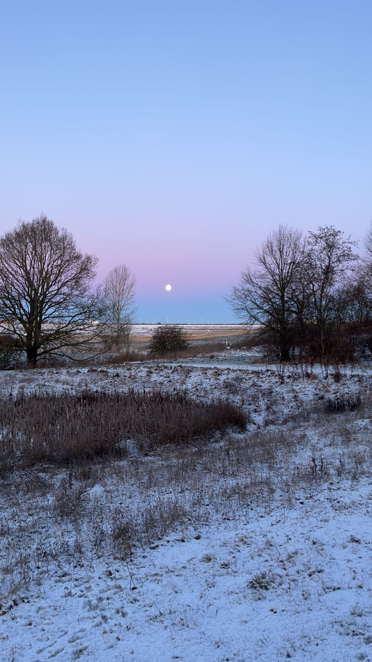 Vintermorgen i Hatting