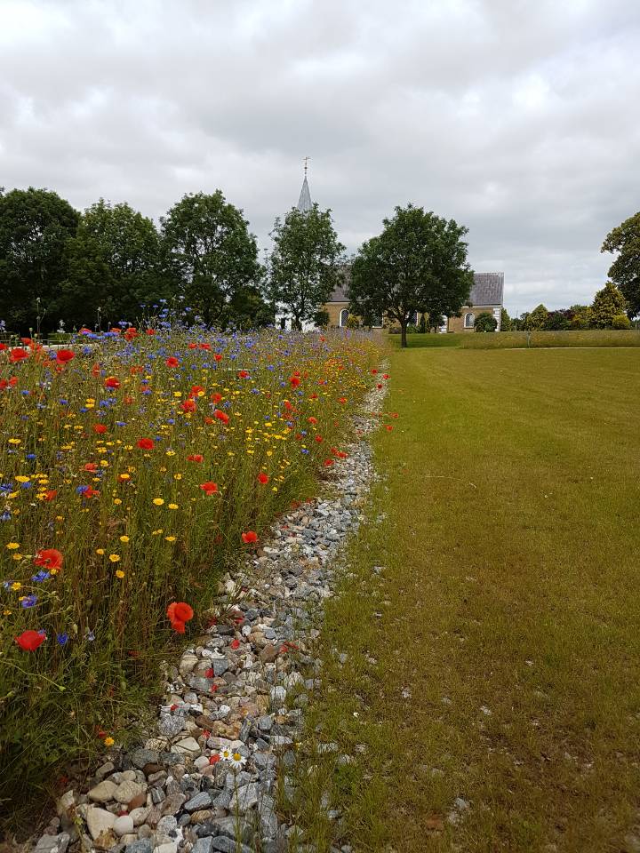 Vild med vilje helt ind i kirken 